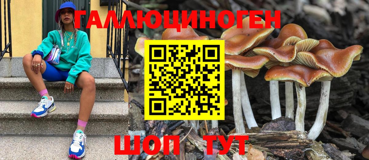 Галлюциногенные грибы Cubensis  Галлюциногенные грибы Cubensis  Вход с VPN  Соль-Илецк 
